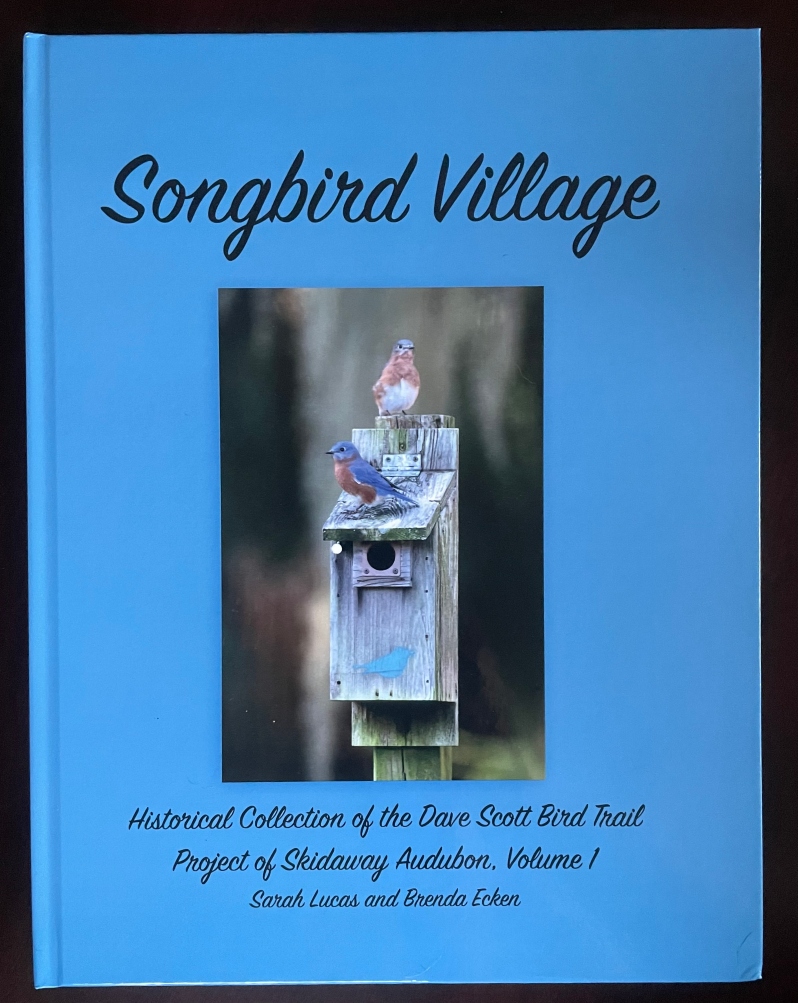 Songbird Village book